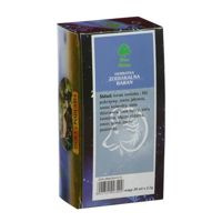 Herbatka Zodiakalna "Baran"