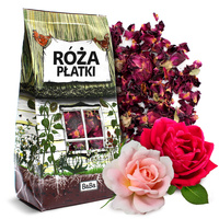 Róża płatki