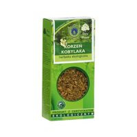 Kobylak korzen 50 gram na niestrawnosc