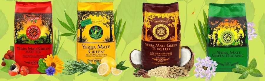 Kup Yerba Mate Green w naszym sklepie Kup Yerba Mate Green dla początkujących
