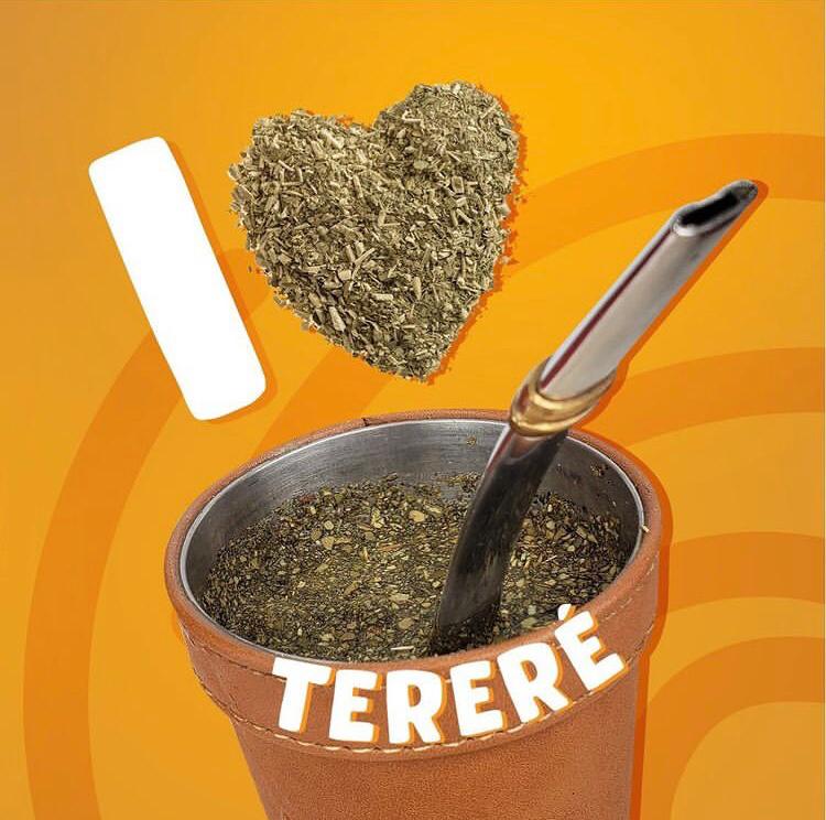 Terere - yerba mate na zimno