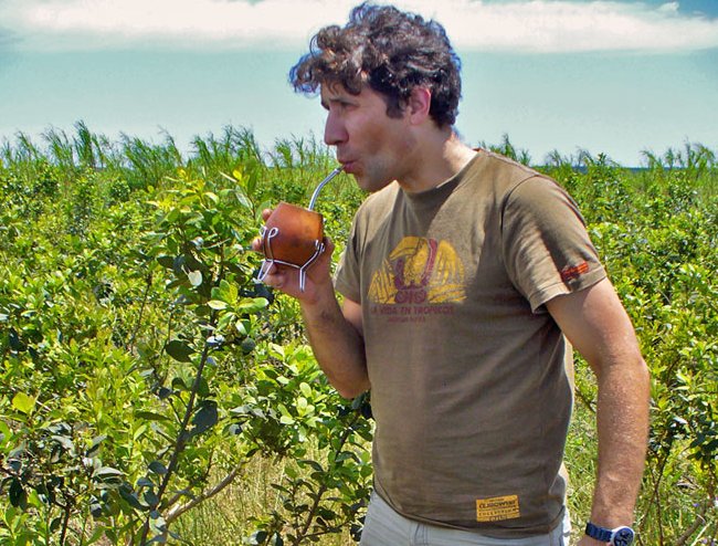 yerba-mate-w-argentynie