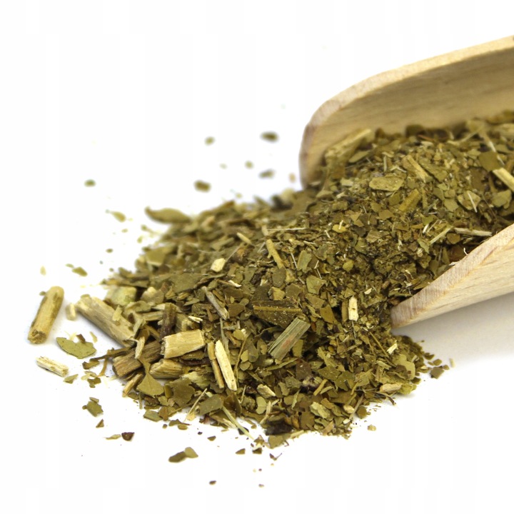 Yerba Mate El Pajaro Cactus