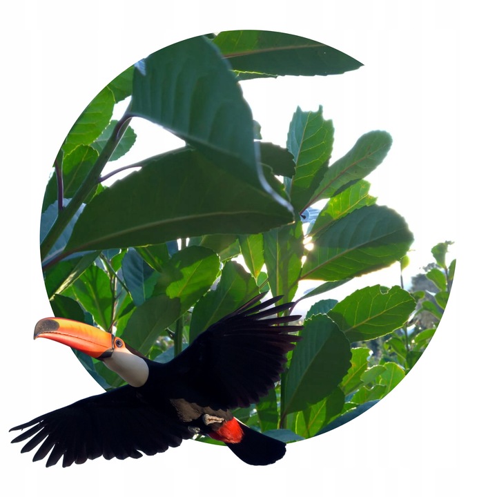 Informacje dodatkowe