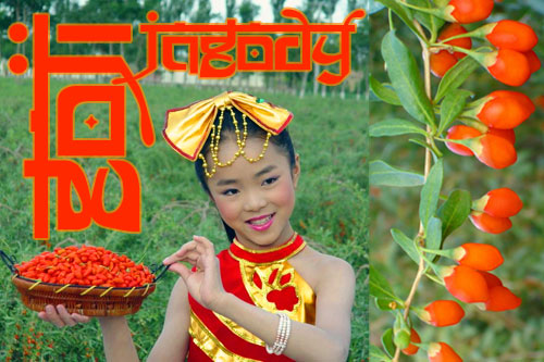 Jagody Goji