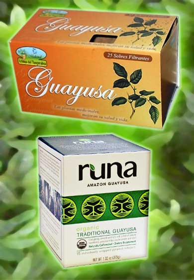 ILEX GUAYUSA produkty