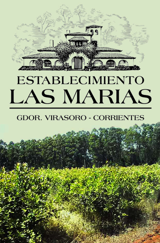 LAS MARIAS plantacja yerba mate logo
