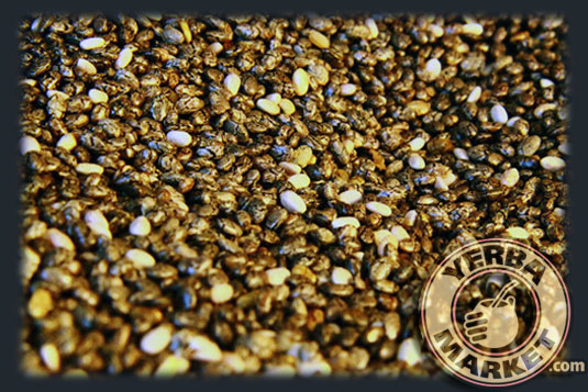 Salvia_hispanica_NASIONA_CHIA_w_YerbaMarkecie
