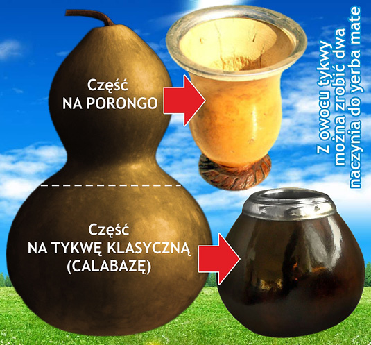 Tykwa matero - porongo i calabaza (calabasa)