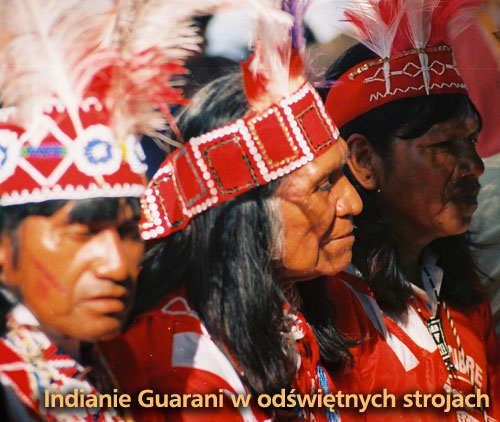 Indianie Guarani i yerba mate