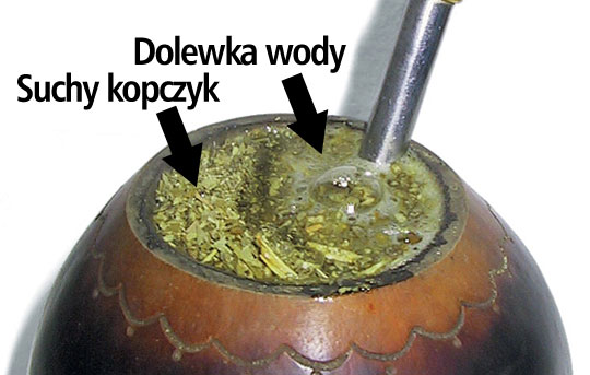 jak parzyć yerba mate