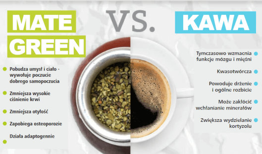 właściwości yerba mate green vs. kawa