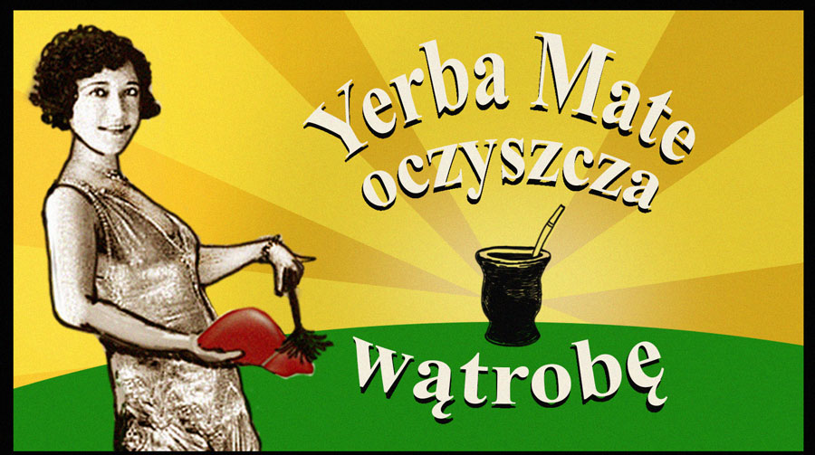 yerba mate a wątroba