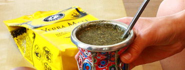 Yerba mate czyli ostrokrzew paragwajski