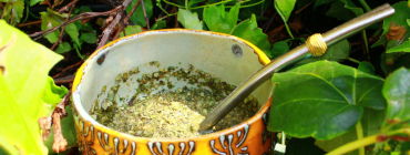 Yerba Mate z warzywami