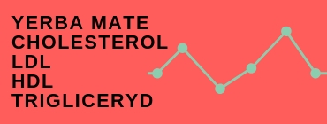Yerba mate a cholesterol