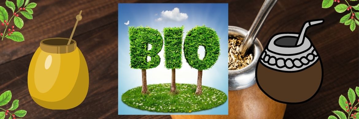 100% Organiczna mate Bio z certyfikatami
