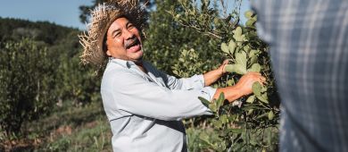 Yerba Mate Green najpopularniejsza yerba mate w Polsce