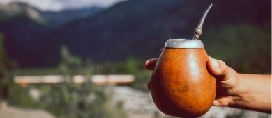 Magnezu nigdy za dużo! Które yerba mate mają go najwięcej?