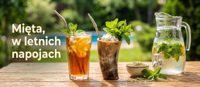 Mięta w letnich napojach – ice tea, yerba mate tereré i inne pomysły