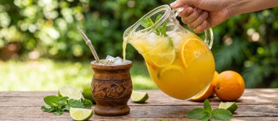 Yerba mate na lato – przepisy producentów na tereré i ice mate