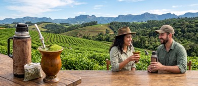 Brazylia i yerba mate – chimarrão, mate green i inne smaki Brazylii