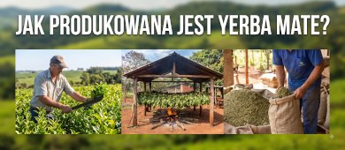 Jak produkowana jest yerba mate? Etapy produkcji według producentów