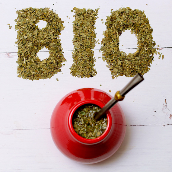 Zestaw Yerba Mate Bio Xperience Starter Set - kartonowe pudełko
