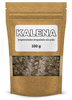 Argentyńska Yerba Mate Kalena Despalada Suave 100g