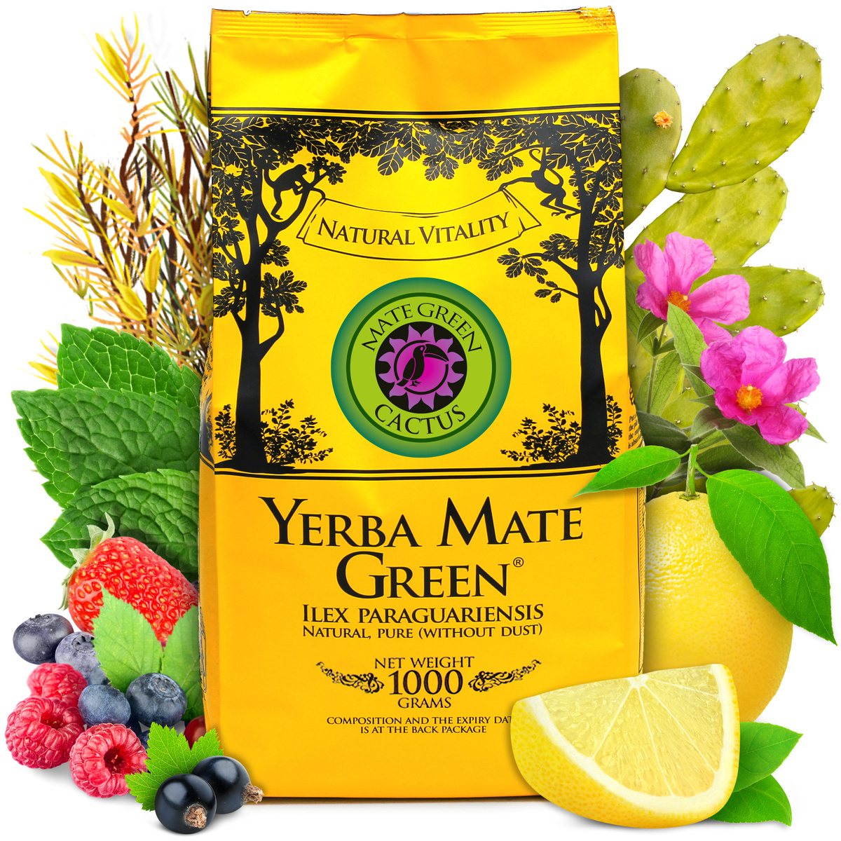 Yerba Mate Green Cactus, 0.05 kg