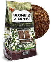 BŁONNIK WITALNOŚĆ - babka płesznik i babka jajowata