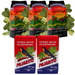 Yerba Mate Pajarito Elaborada Con Palo Pajaro Traditional 5 KG