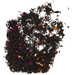 Herbata czarna Mojo Tea Maliny w Szampanie