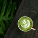 Herbata Matcha Premium Green Tea Powder