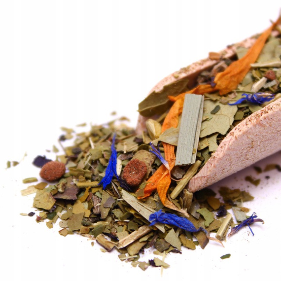 Zestaw Yerba Mate na start różne smaki i rodzaje + akcesoria 10 x 50 g/500g