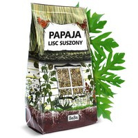Papaja - liść suszony, liście suszone papai do robienia naparu