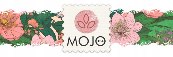 Zestaw Herbat Zielonych + Zaparzacz Serce |Imbir Lemon i Kaktusowo-Cytrynowa