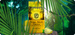 Yerba Mate Green LEMON