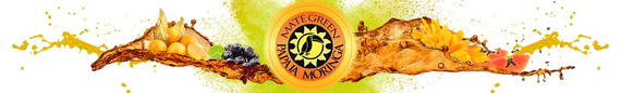 Yerba Mate Green PAPAJA MORINGA