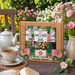Zestaw Mojo Tea 3x50g: Sencha Imbir Lemon, Dzika Owocowa Radość, Zielone Jabłuszko
