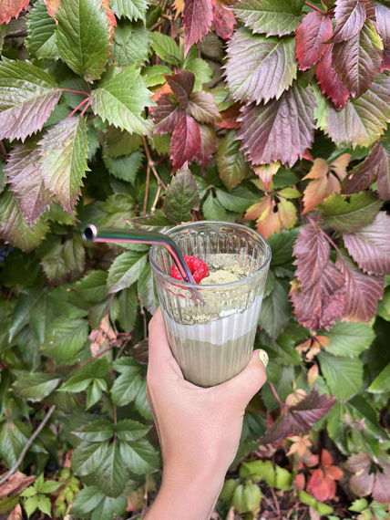 Herbata zielona MOJO TEA Matcha 50g