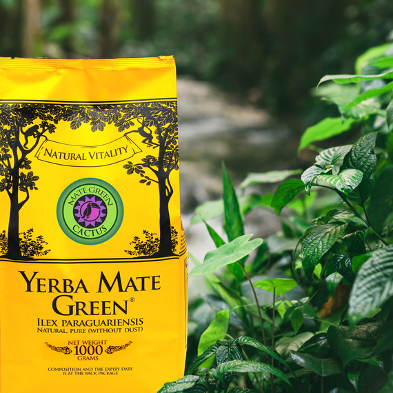 Yerba Mate Green Cactus