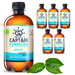 Captain Kombucha Original 400ml 6x 400ml