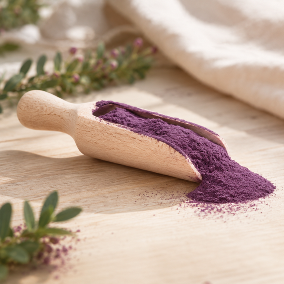 PURPLE MATCHA Alternative MOJO TEA Ube w proszku Sproszkowane