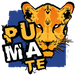 Zestaw Yerba Mate PumaTe 3x 500g różne smaki