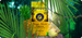 Yerba Mate Green Brave Ashwagandha
