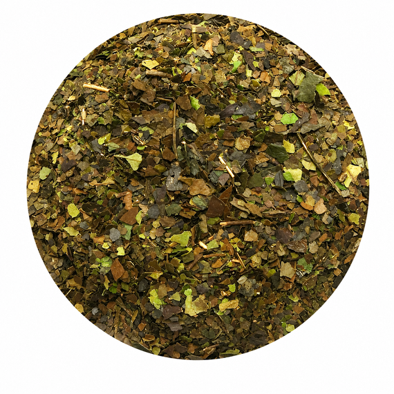 Ilex Guayusa siostra yerba mate podwójna moc ekwadorskiego zioła