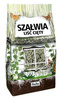 Szałwia - liść cięty