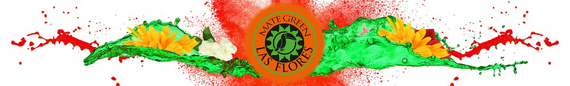 Yerba Mate Green LAS FLORES 