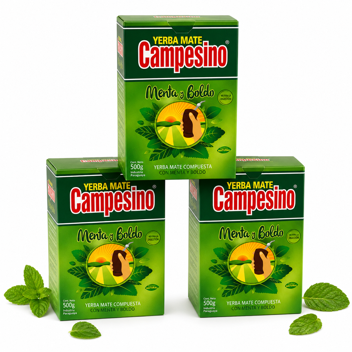 Yerba Mate CAMPESINO MENTA y BOLDO MOCNA 3x 0,5 kg, 1.5 kg